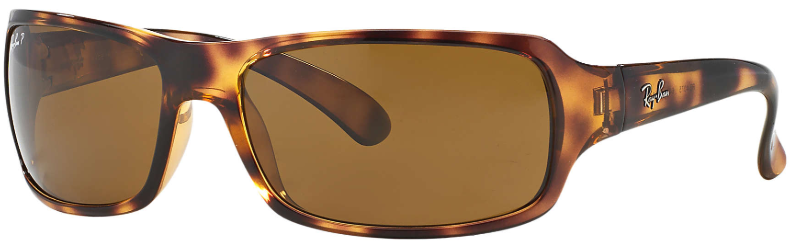 4075 ray on sale ban