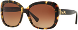 COACH 8158 POLARIZED
