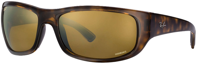 RAY BAN 4283CH 601 A1 64 – Sol Specs Optical