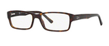 RAY BAN 5169 2034 54