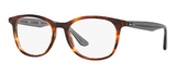 RAY BAN 5356 2012 52