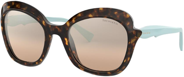 TOM FORD 0607 51 Sol Specs Optical